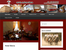 Tablet Screenshot of hotel-slavia.net